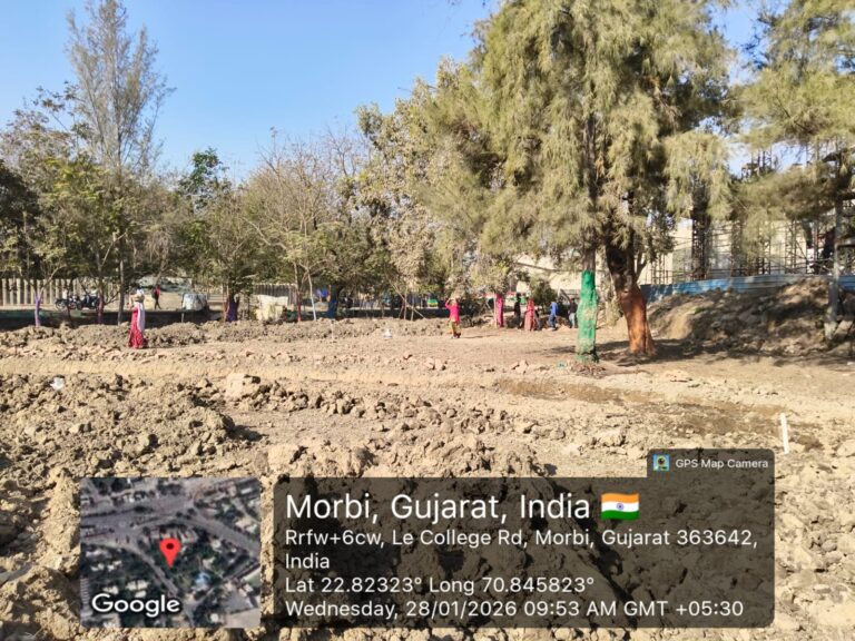 मोरबी म्युनिसिपल कॉर्पोरेशन शहर के गार्डन को सुंदर बनाने का काम कर रहा है।