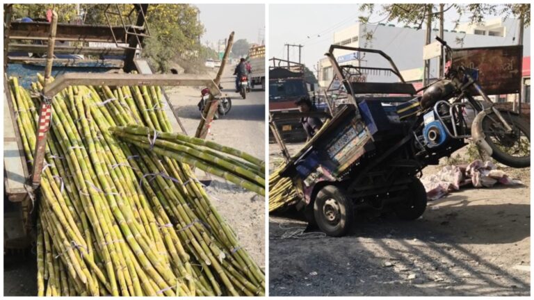 मोरबी के शनाला गांव के पास गन्ने से लदा रिक्शा चिकन रिक्शा से टकरा गया, किसी के हताहत होने की खबर नहीं