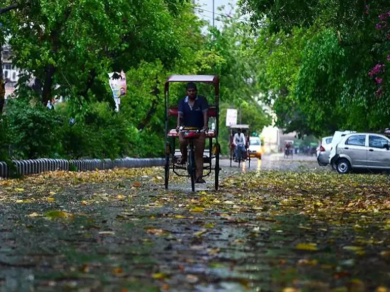 2025 में सामान्य से ज्यादा होगी बारिश! महंगाई से मिल सकती है राहत: IMD – there will be more rain than normal in 2025 there may be relief from inflation imd