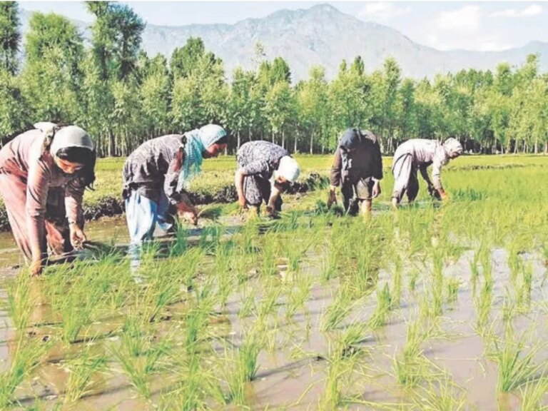 सामान्य से अधिक बारिश का मतलब कम महंगाई नहीं – excess rainfall does not mean less inflation