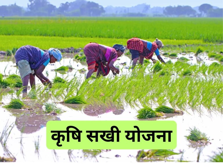 यूपी में महिलाएं बनेंगी ‘कृषि सखी’, मिलेगी ट्रेनिंग, मानदेय होगा 5,000 रुपये – women will be made krishi sakhi in up training will be honorarium of rs 5000