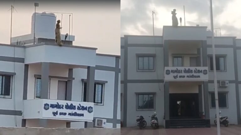थाने की छत पर चढ़ी महिला, देने लगी सुसाइड की धमकी, बचाने गई पुलिसकर्मी को भी घायल किया