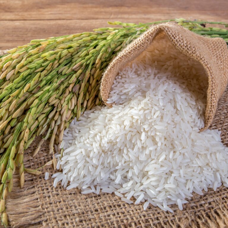 Rice Export: चावल का निर्यात हुआ महंगा! सरकार ने परबॉयल्ड और मिल्ड चावल पर लगाया 20% टैक्स – rice export rice export became expensive government imposed 20pc tax on parboiled and milled rice