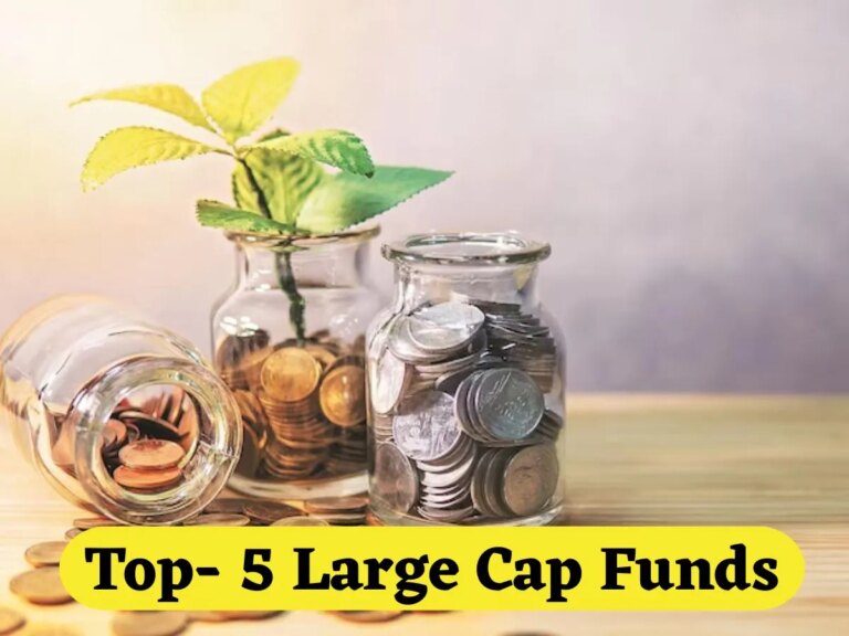 Top- 5 Large Cap Funds: 5 साल में दिया 33% तक रिटर्न; ₹1 लाख के बनाए ₹4 लाख; कैसे चुनें बेहतर फंड्स – top 5 large cap fund makes money 4 times in 5 years investors gets up to 33 pc annual return