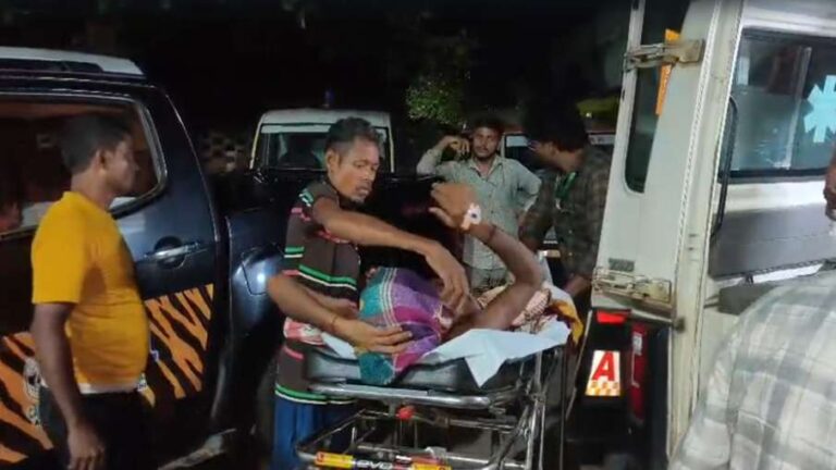 मगरमच्छ ने जबड़े में दबोचा, चीख सुनी… जान की परवाह किए बिना नदी में कूद पड़े 2 भाई, फिर जो हुआ वो फिल्मों जैसी कहानी है